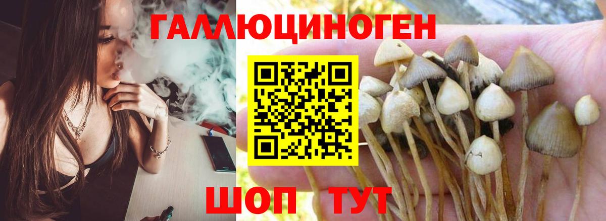 Галлюциногенные грибы мицелий Похвистнево
